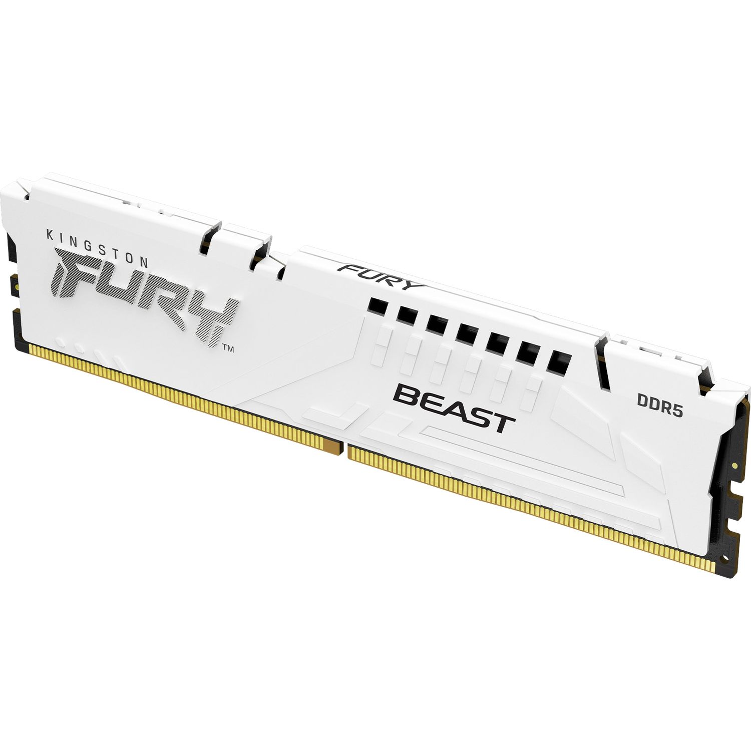 Память оперативная Kingston FURY Beast KF552C40BW-32